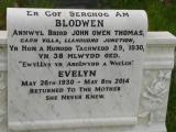 image of grave number 647373